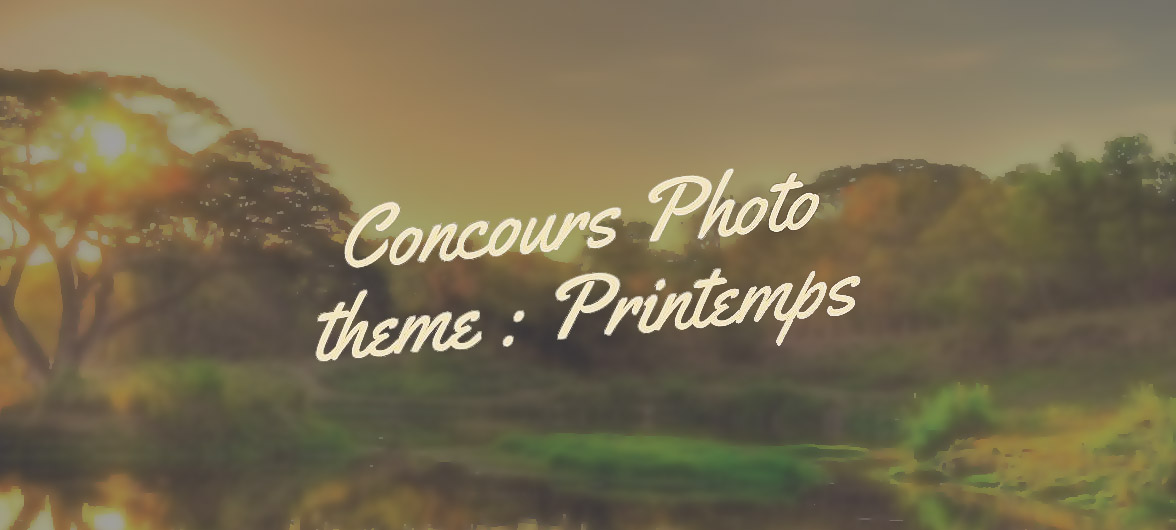 Concours photo sur le thème du printemps...